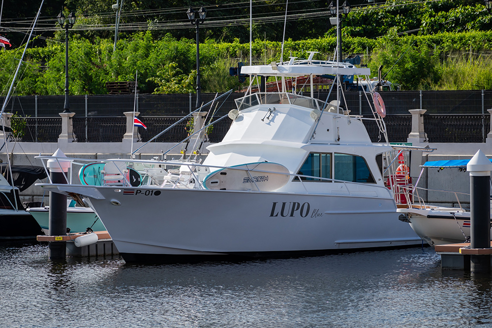 Flamingo Marina Yacht